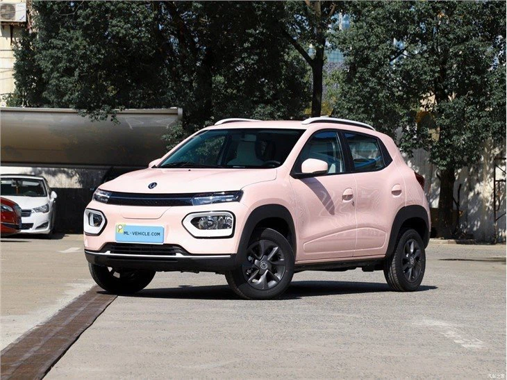 DongFeng EV Nano Caja