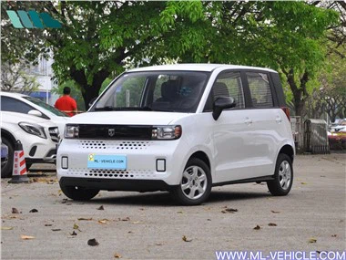 Baizhi Big Bear Vehículo eléctrico 15kwh 175KW EV COCHES