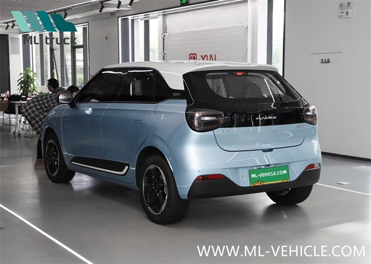 DongFeng Nammi 01