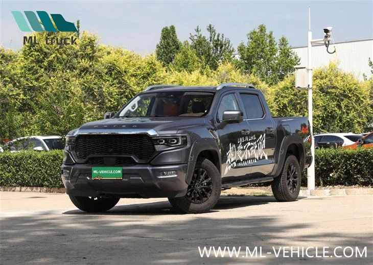 Recogida Foton Mars 9