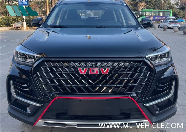 Sinotruk VGV U75