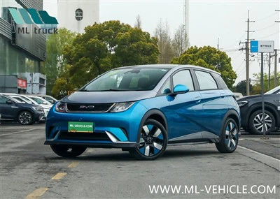 BYD Delfín EV