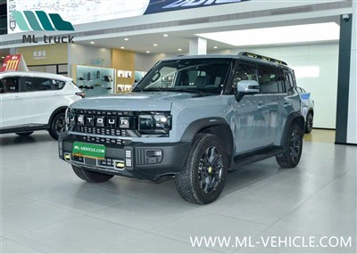 CHERY Jetour Viajero