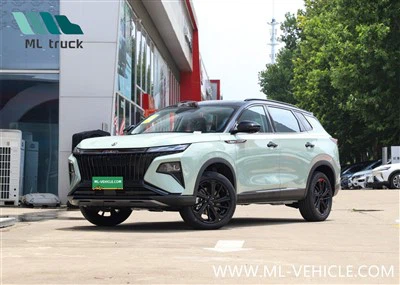 DongFeng AEOLUS HaoJi