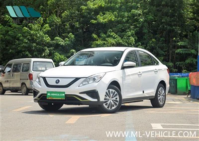 DongFeng Forthing S50 EV