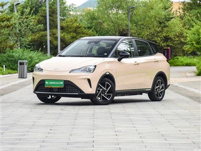 SUV NETA AYA