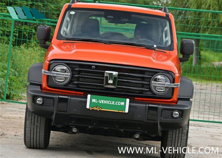 2024 GMW Tank 300 Hi4-T