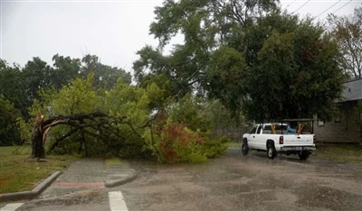 ¿Puede un tifón de categoría 14 derribar un coche? ¿Qué nivel de viento puede...