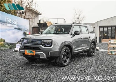 SUV Beijing Auto BJ30 2024