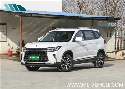SUV DongFeng Forthing T5 2024